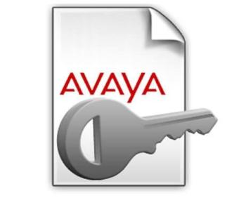 Avaya IP Office R12 Licenses