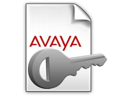 Avaya IP Office R10 Voicemail Pro 2 PLDS License (383071) For R10 & Higher