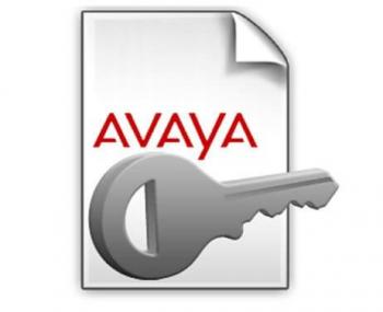 IP Office R10 Avaya IP Endpoint License (383110) For R10-R12