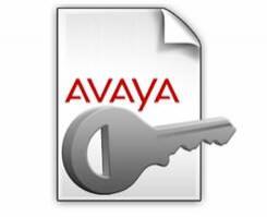 Avaya IP Office R9 IP500 T1 Additional 8CH PLDS License 273923