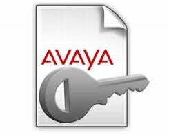 Avaya IP Office R9 Avaya IP Endpoint 1 PLDS License 273900