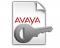 Avaya IP Office Select Edition R10 Office Worker 1 PLDS License (307346)