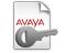 Avaya IP Office R11 Contact Recorder to Media Manager Upgrade