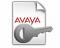 Avaya IP Office R9 Power User 1 PLDS License 273936